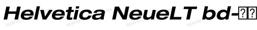 Helvetica NeueLT bd字体转换